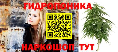 прущие грибы Заволжье