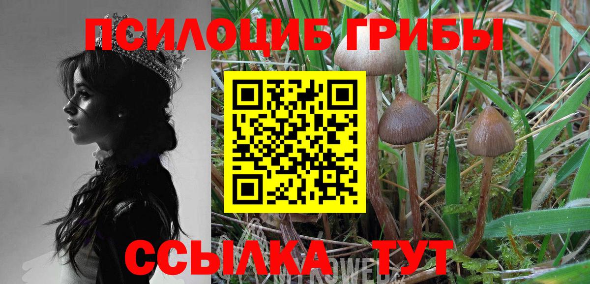 Псилоцибиновые грибы MAGIC MUSHROOMS Майкоп