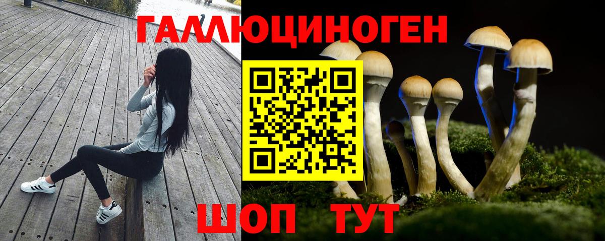 Майкоп  Псилоцибиновые грибы ЛСД  Вход с VPN 